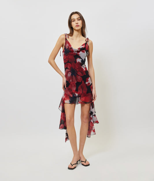 ANYA PRINTED DRESS