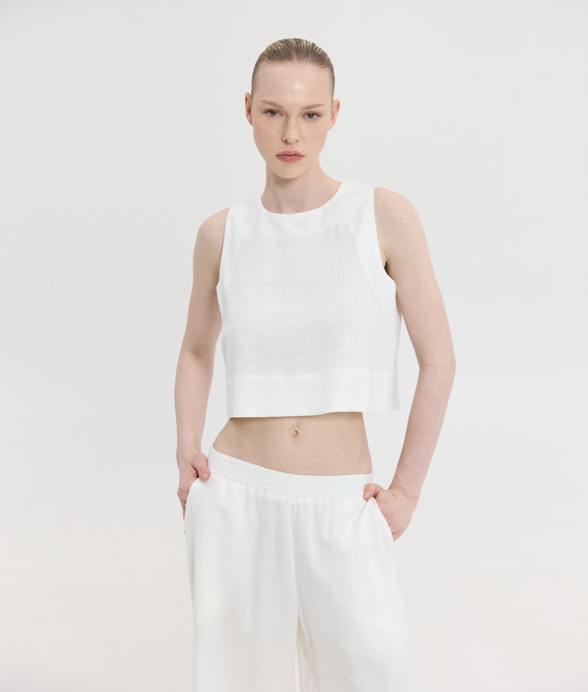 CLEO TOP