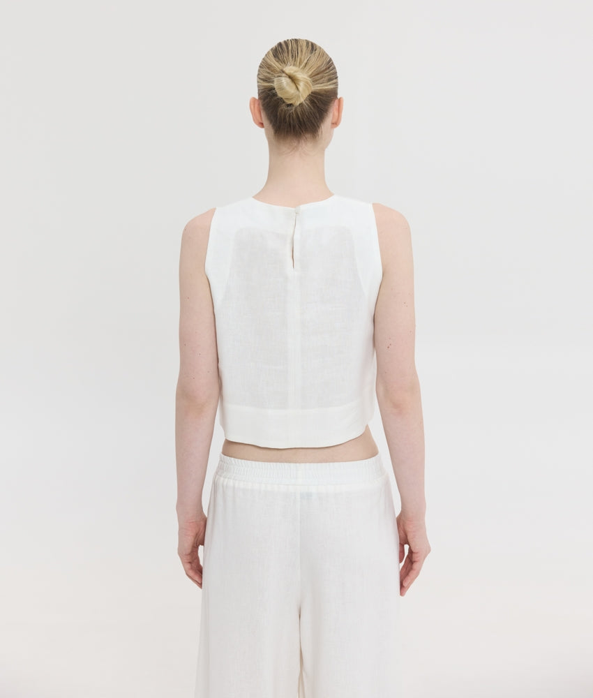CLEO TOP